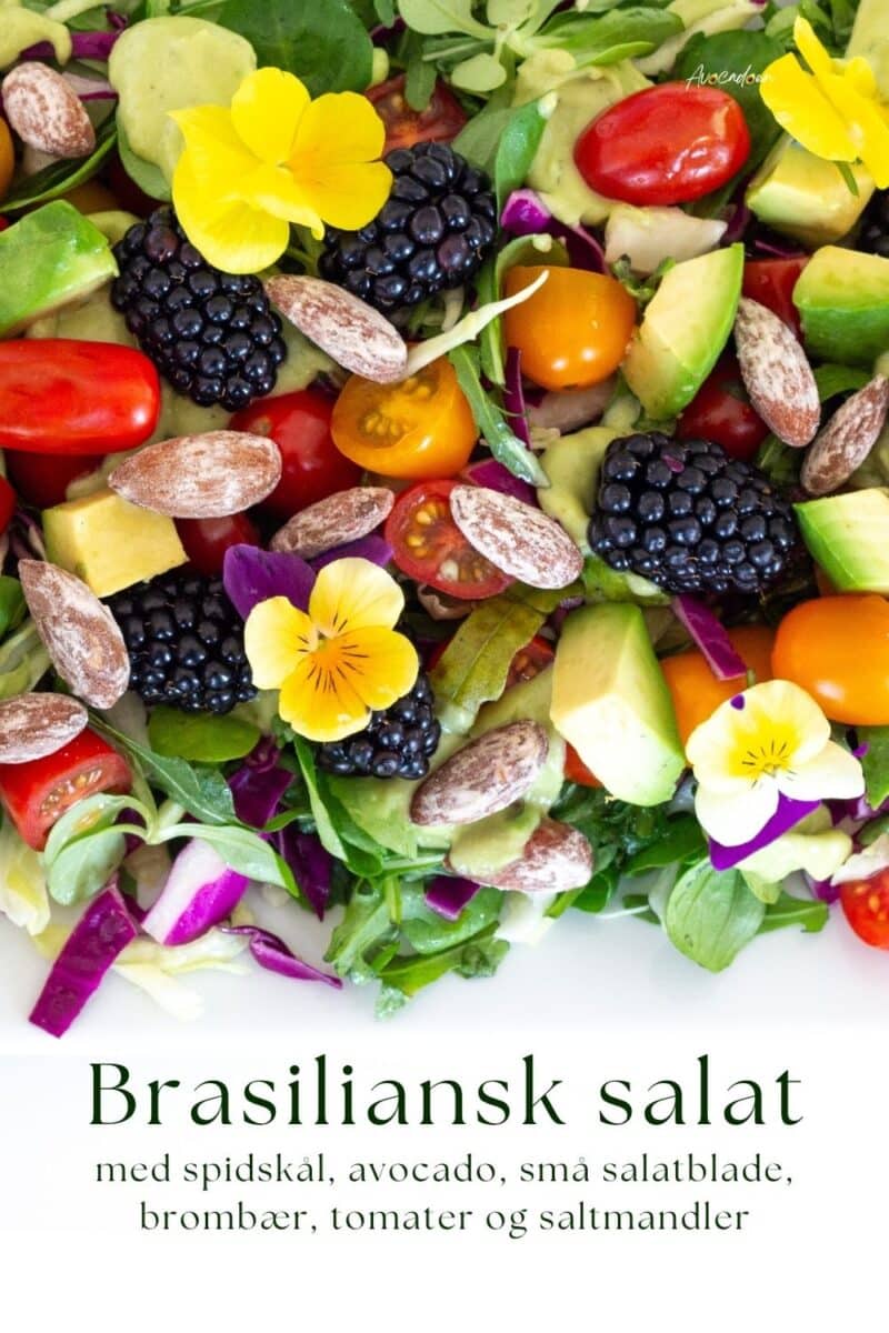 Brasiliansk salat med avocado, tomater, brombær og salatmandler.
