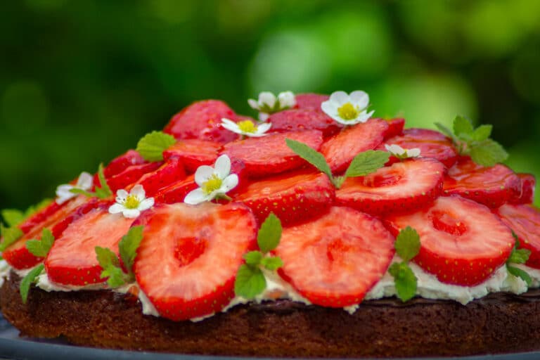 Jordbærkage abrikos- og mascarponecreme glutenfri