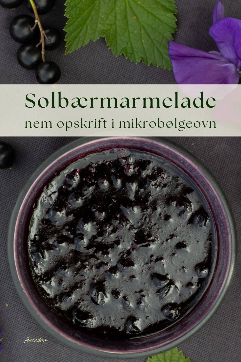 Skål med solbærmarmelade og friske solbær