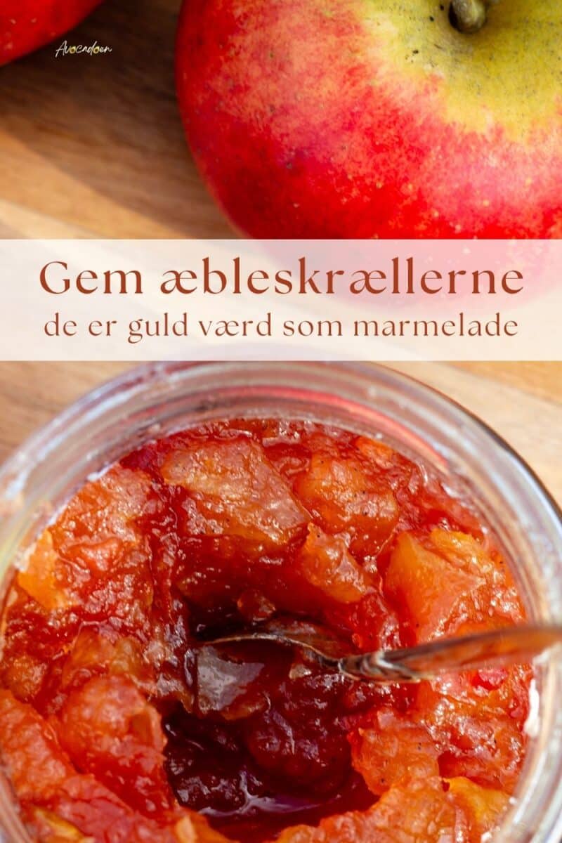 Nærbllede af rødgylden marmelade af æbleskræller i et glas med en fin ske på et skærebræt af træ med røde æbler ved siden af