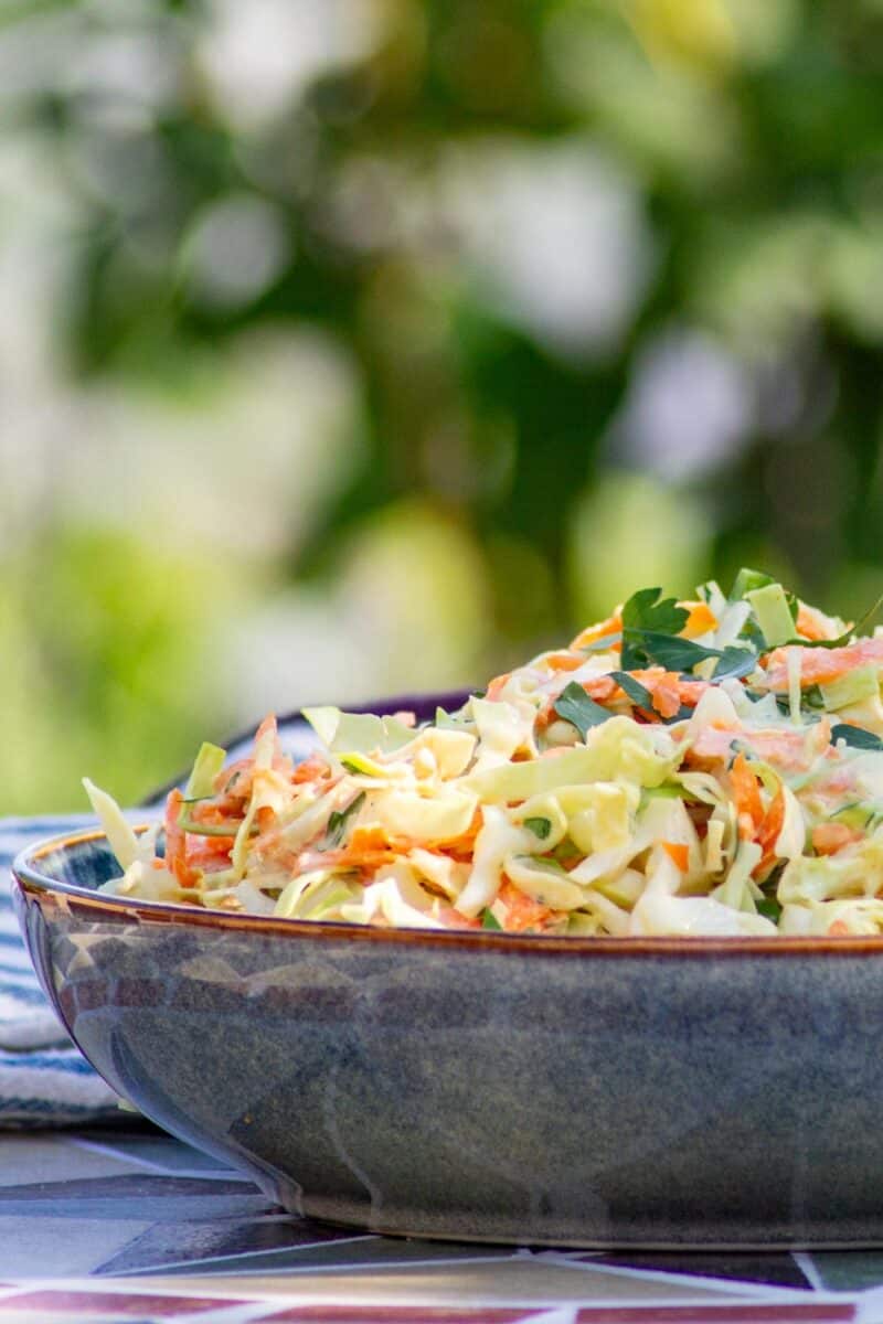 En skål coleslaw på et sommerligt bord