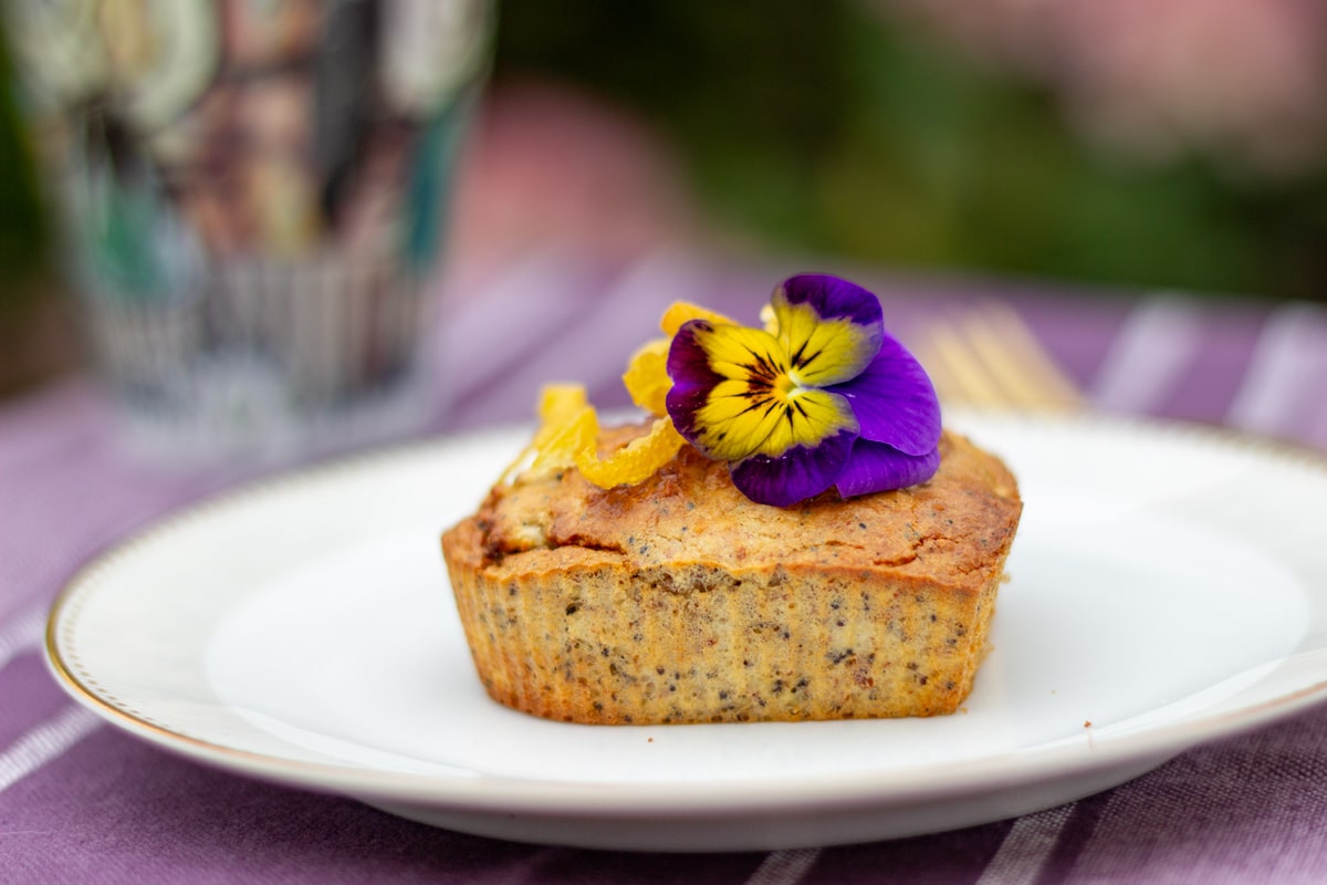 Citronmuffins med birkes