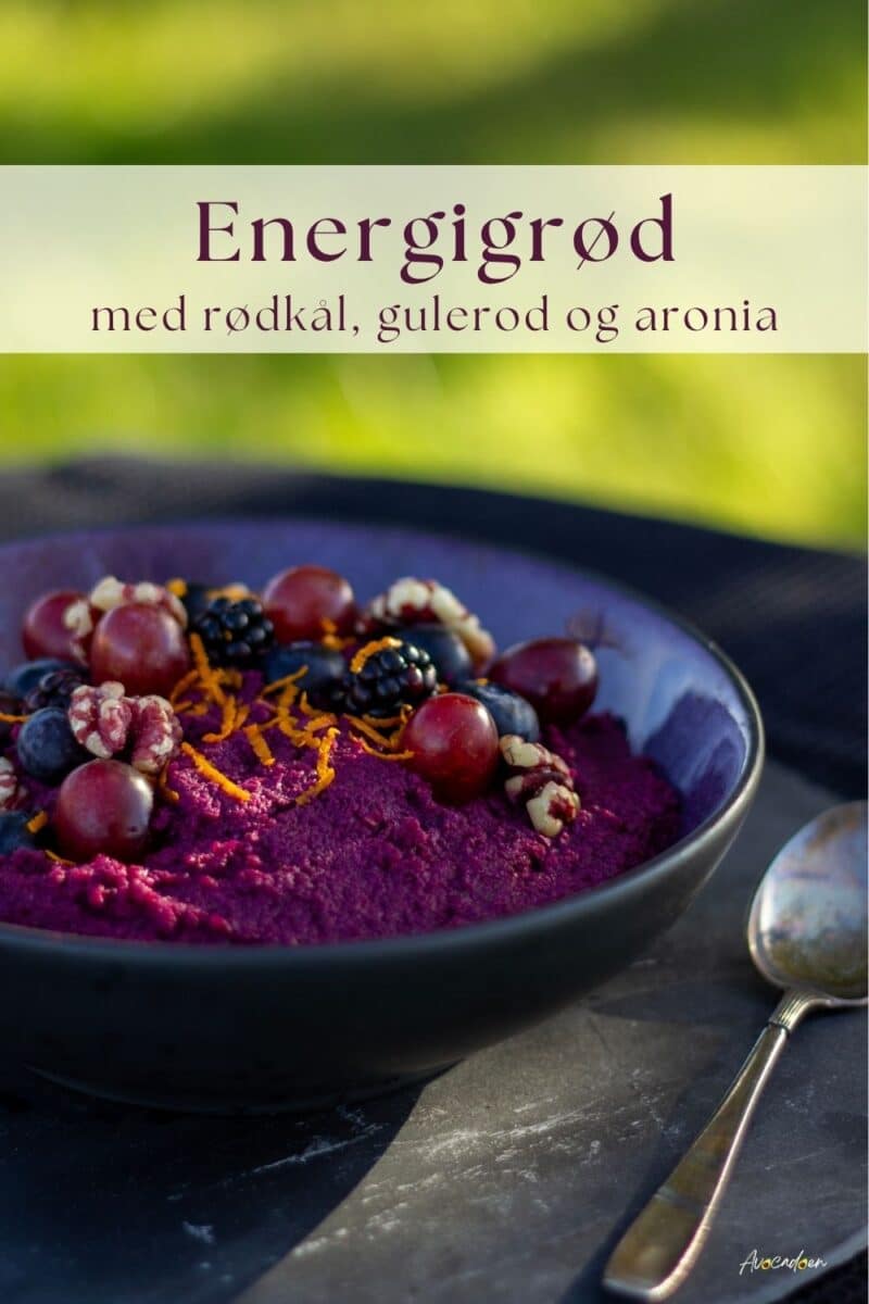 Skål på grøn baggrund med lilla grød af rødkål, gulerødder og aroniabær, toppet med valnødder, blåbær, brombær, druer og appelsinskal og ved siden af en ske.