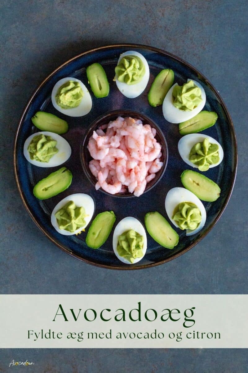 Æg med avoadofyld anrettet med snack-avocadoer og rejer.