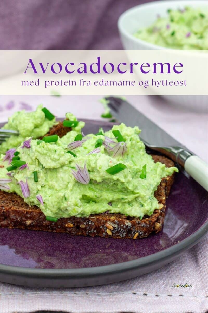 Rugbrød med avocadocreme lavet af avocado, hytteost og edamamebønner drysset med purløg